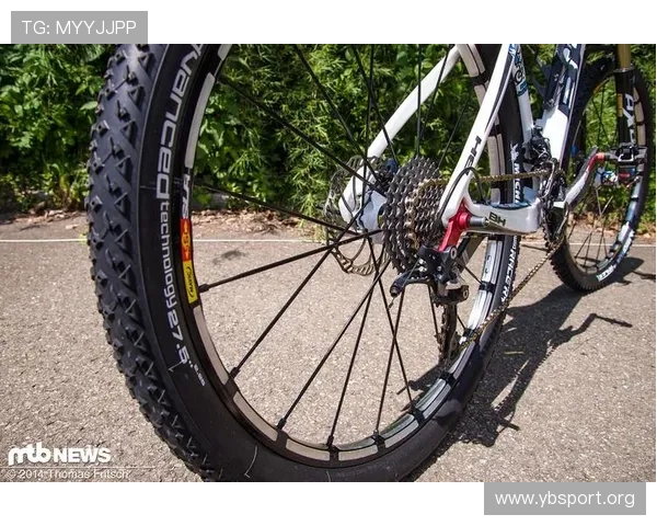 极速赛道激情碰撞F1赛季回顾与顶尖车手风云全解析